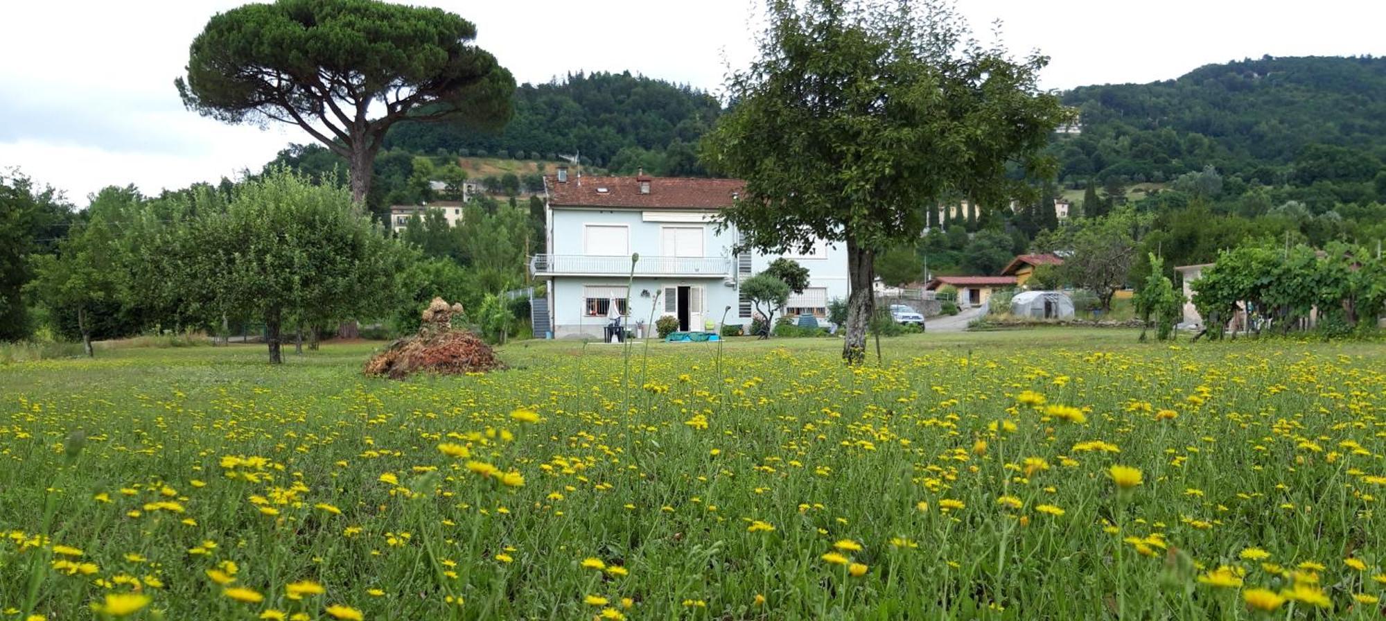 Affittacamere La Foresta Di Sopra Barga Exterior photo